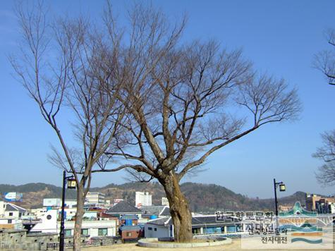 대표시청각 이미지