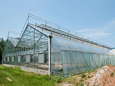 서산중앙고등학교 첨단유리온실 썸네일 이미지