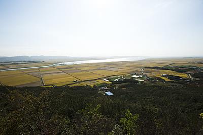 도비산 전망대에서 본 지산리 전경 썸네일 이미지