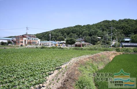 대표시청각 이미지