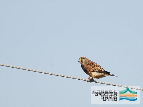 대표시청각 이미지