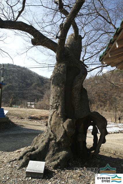 대표시청각 이미지