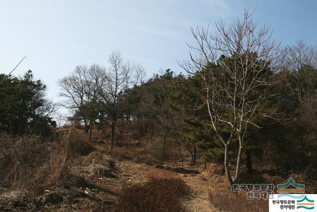 대표시청각 이미지