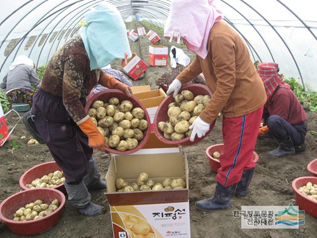 대표시청각 이미지