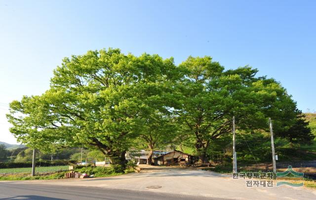 대표시청각 이미지