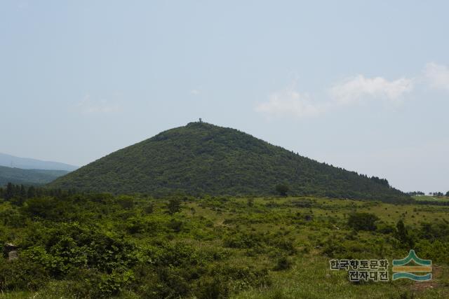 대표시청각 이미지