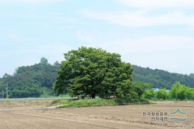 대표시청각 이미지