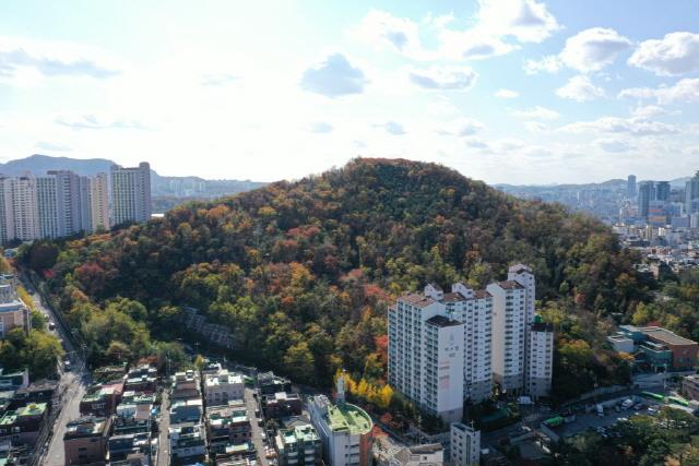 대표시청각 이미지